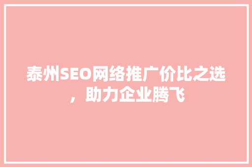 泰州SEO网络推广价比之选，助力企业腾飞