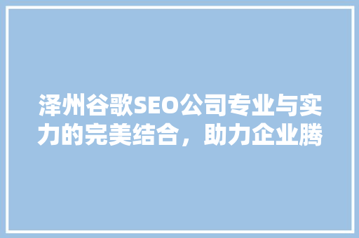 泽州谷歌SEO公司专业与实力的完美结合，助力企业腾飞