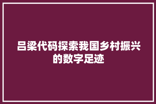 吕梁代码探索我国乡村振兴的数字足迹