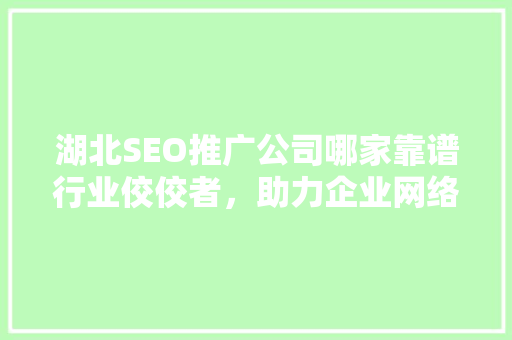 湖北SEO推广公司哪家靠谱行业佼佼者，助力企业网络营销