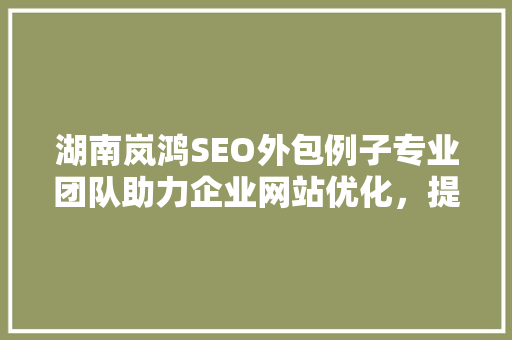 湖南岚鸿SEO外包例子专业团队助力企业网站优化，提升品牌影响力