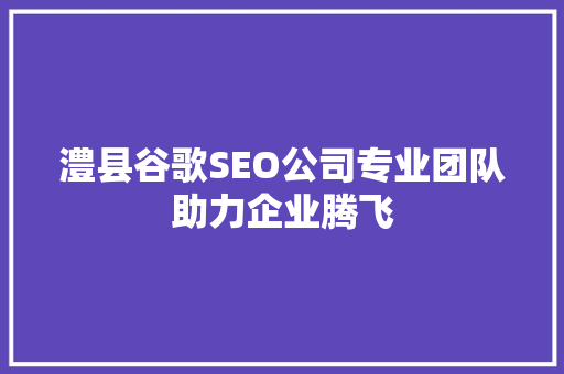 澧县谷歌SEO公司专业团队助力企业腾飞