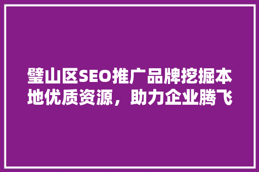 璧山区SEO推广品牌挖掘本地优质资源，助力企业腾飞  第1张