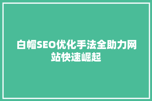 白帽SEO优化手法全助力网站快速崛起