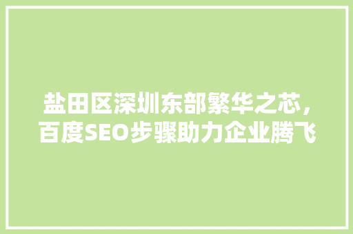 盐田区深圳东部繁华之芯，百度SEO步骤助力企业腾飞