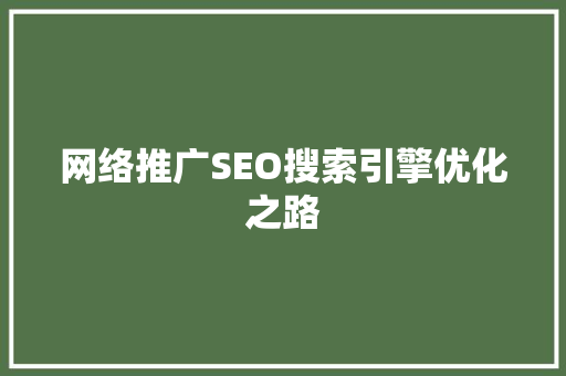 网络推广SEO搜索引擎优化之路  第1张