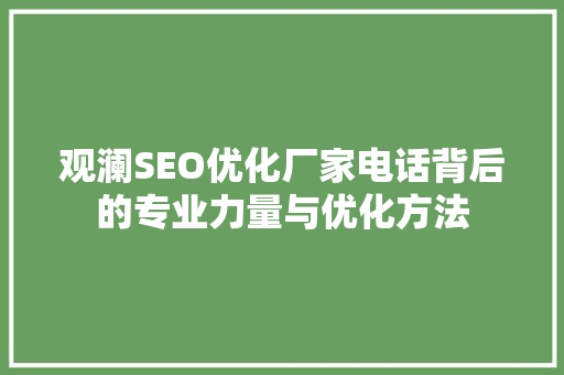 观澜SEO优化厂家电话背后的专业力量与优化方法