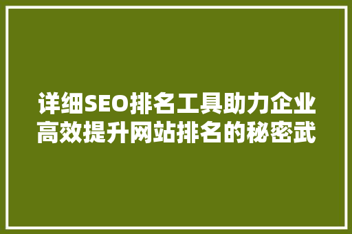 详细SEO排名工具助力企业高效提升网站排名的秘密武器