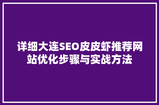 详细大连SEO皮皮虾推荐网站优化步骤与实战方法