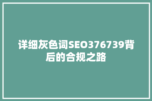 详细灰色词SEO376739背后的合规之路  第1张