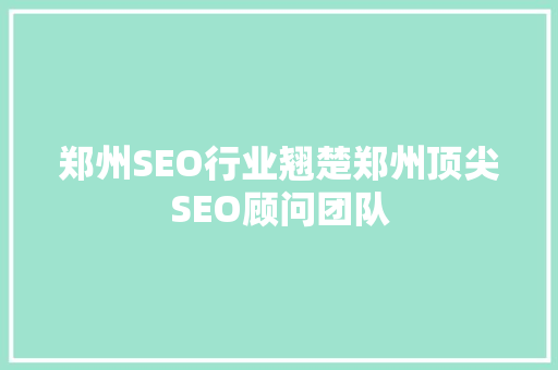郑州SEO行业翘楚郑州顶尖SEO顾问团队