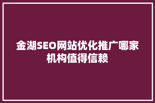 金湖SEO网站优化推广哪家机构值得信赖  第1张