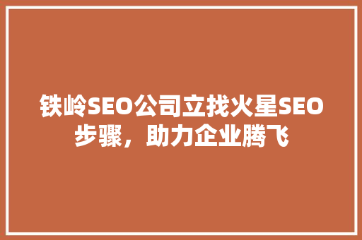 铁岭SEO公司立找火星SEO步骤，助力企业腾飞