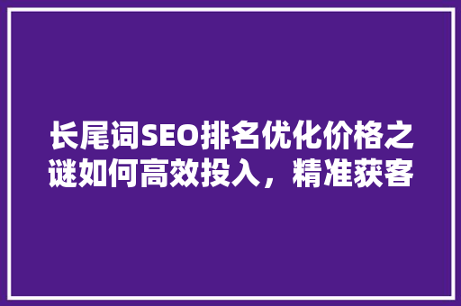长尾词SEO排名优化价格之谜如何高效投入，精准获客