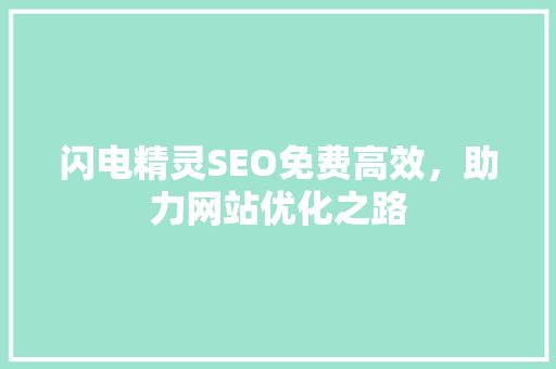 闪电精灵SEO免费高效，助力网站优化之路