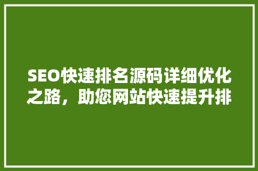 SEO快速排名源码详细优化之路，助您网站快速提升排名