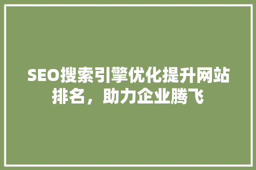 SEO搜索引擎优化提升网站排名，助力企业腾飞