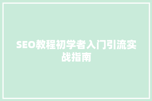 SEO教程初学者入门引流实战指南