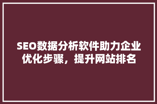 SEO数据分析软件助力企业优化步骤，提升网站排名