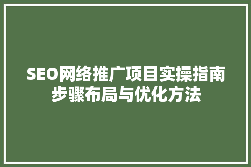 SEO网络推广项目实操指南步骤布局与优化方法  第1张