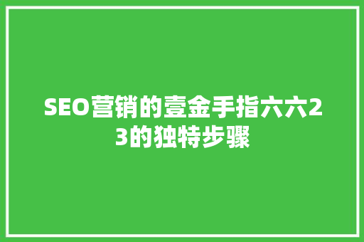 SEO营销的壹金手指六六23的独特步骤