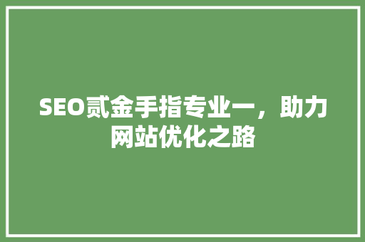 SEO贰金手指专业一，助力网站优化之路