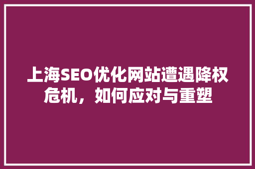 上海SEO优化网站遭遇降权危机，如何应对与重塑