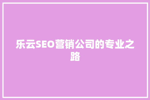 乐云SEO营销公司的专业之路