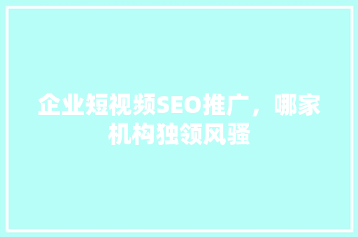 企业短视频SEO推广，哪家机构独领风骚