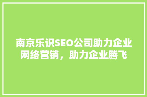 南京乐识SEO公司助力企业网络营销，助力企业腾飞