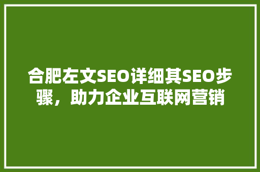 合肥左文SEO详细其SEO步骤，助力企业互联网营销  第1张