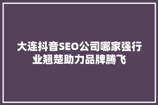 大连抖音SEO公司哪家强行业翘楚助力品牌腾飞  第1张