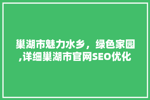 巢湖市魅力水乡，绿色家园,详细巢湖市官网SEO优化步骤