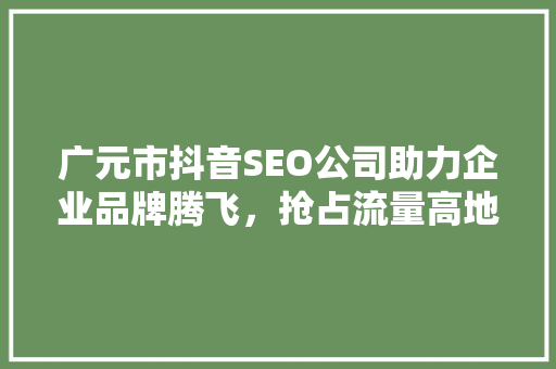 广元市抖音SEO公司助力企业品牌腾飞，抢占流量高地  第1张