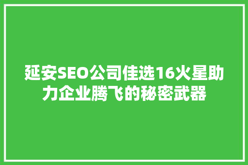 延安SEO公司佳选16火星助力企业腾飞的秘密武器