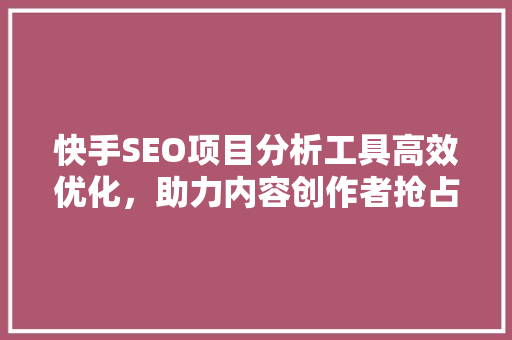 快手SEO项目分析工具高效优化，助力内容创作者抢占流量高地