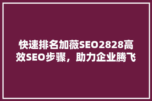 快速排名加薇SEO2828高效SEO步骤，助力企业腾飞  第1张