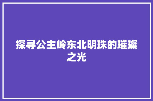 探寻公主岭东北明珠的璀璨之光