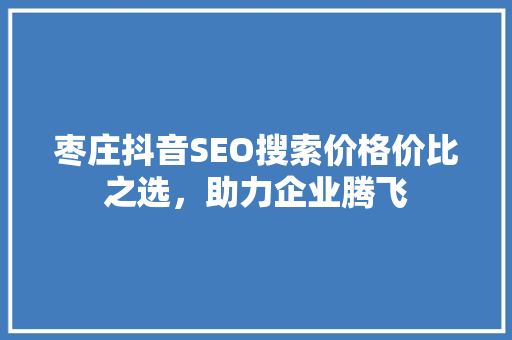 枣庄抖音SEO搜索价格价比之选，助力企业腾飞