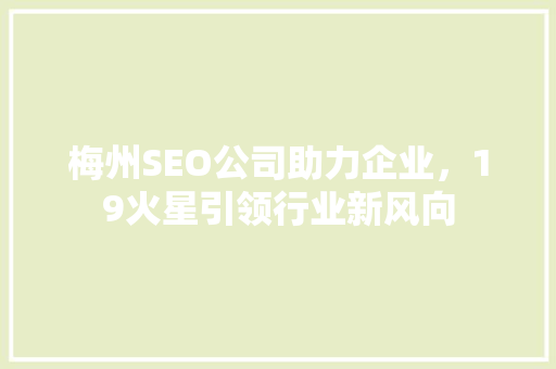 梅州SEO公司助力企业，19火星引领行业新风向