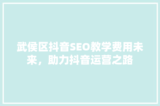 武侯区抖音SEO教学费用未来，助力抖音运营之路