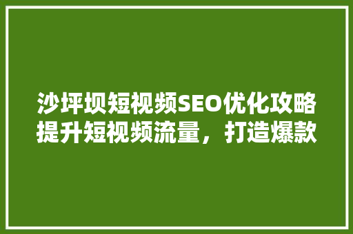 沙坪坝短视频SEO优化攻略提升短视频流量，打造爆款内容