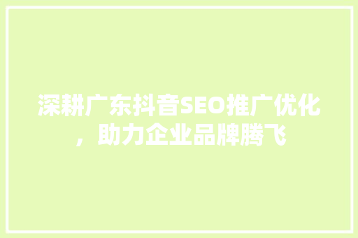 深耕广东抖音SEO推广优化，助力企业品牌腾飞