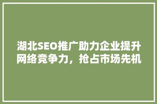 湖北SEO推广助力企业提升网络竞争力，抢占市场先机  第1张
