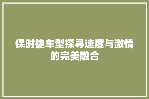 保时捷车型探寻速度与激情的完美融合