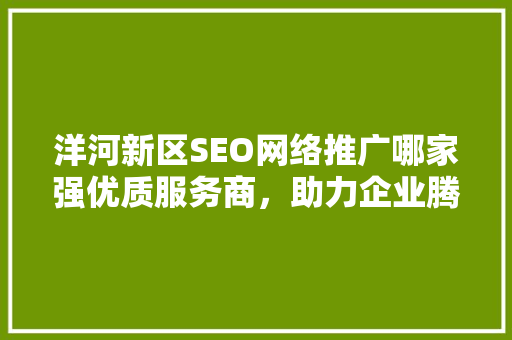 洋河新区SEO网络推广哪家强优质服务商，助力企业腾飞