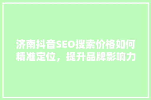 济南抖音SEO搜索价格如何精准定位，提升品牌影响力