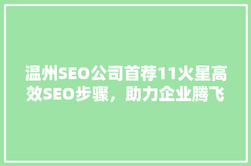 温州SEO公司首荐11火星高效SEO步骤，助力企业腾飞