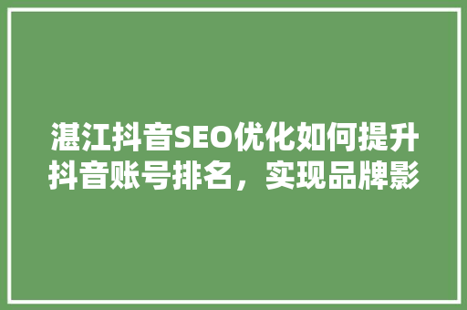 湛江抖音SEO优化如何提升抖音账号排名，实现品牌影响力最大化