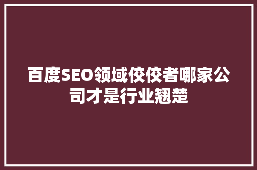 百度SEO领域佼佼者哪家公司才是行业翘楚